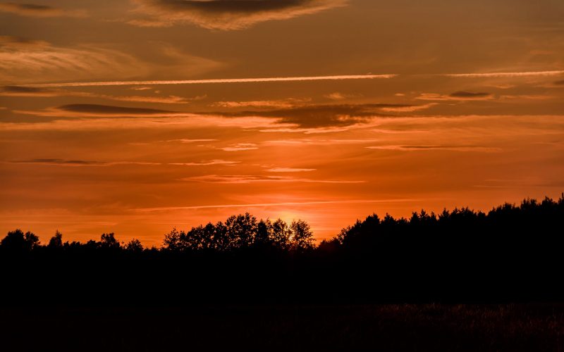 Sommerheimat_01-(15) Sommerheimat