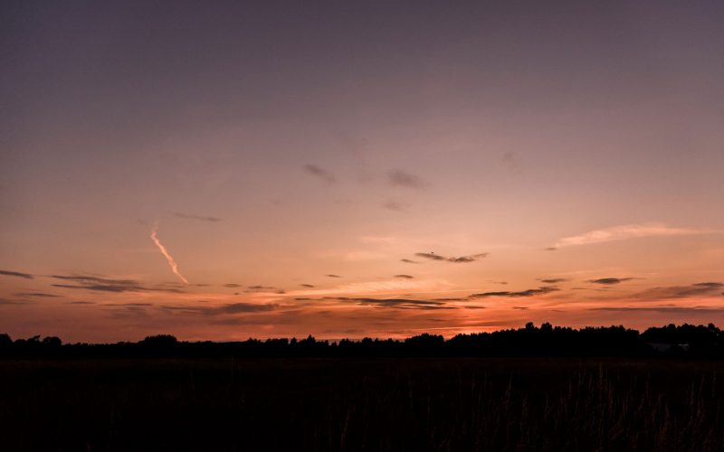 Sommerheimat_01-(18) Sommerheimat