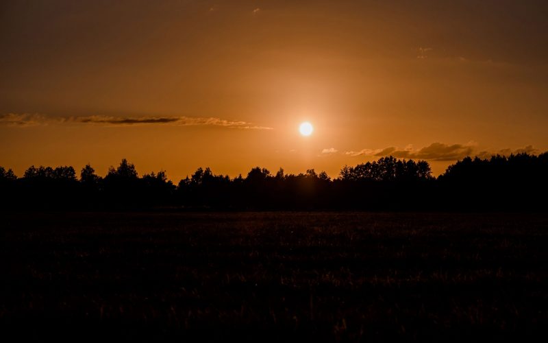 Sommerheimat_01-(21) Sommerheimat