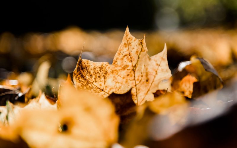 Herbst Airport