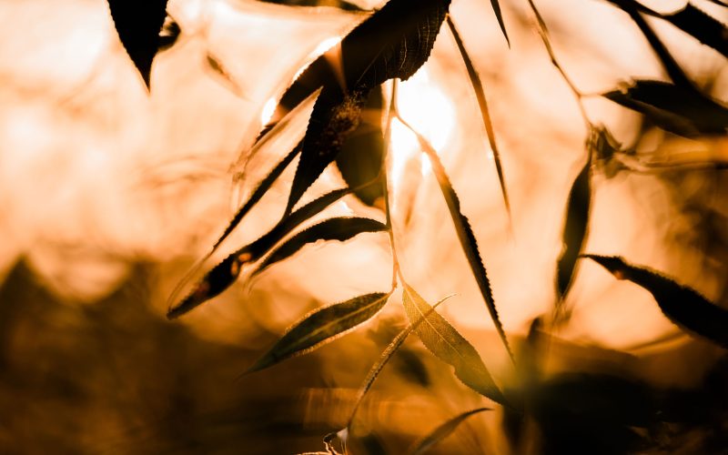 Sonnenuntergang Urlaub (11) Sonnenuntergang Urlaub