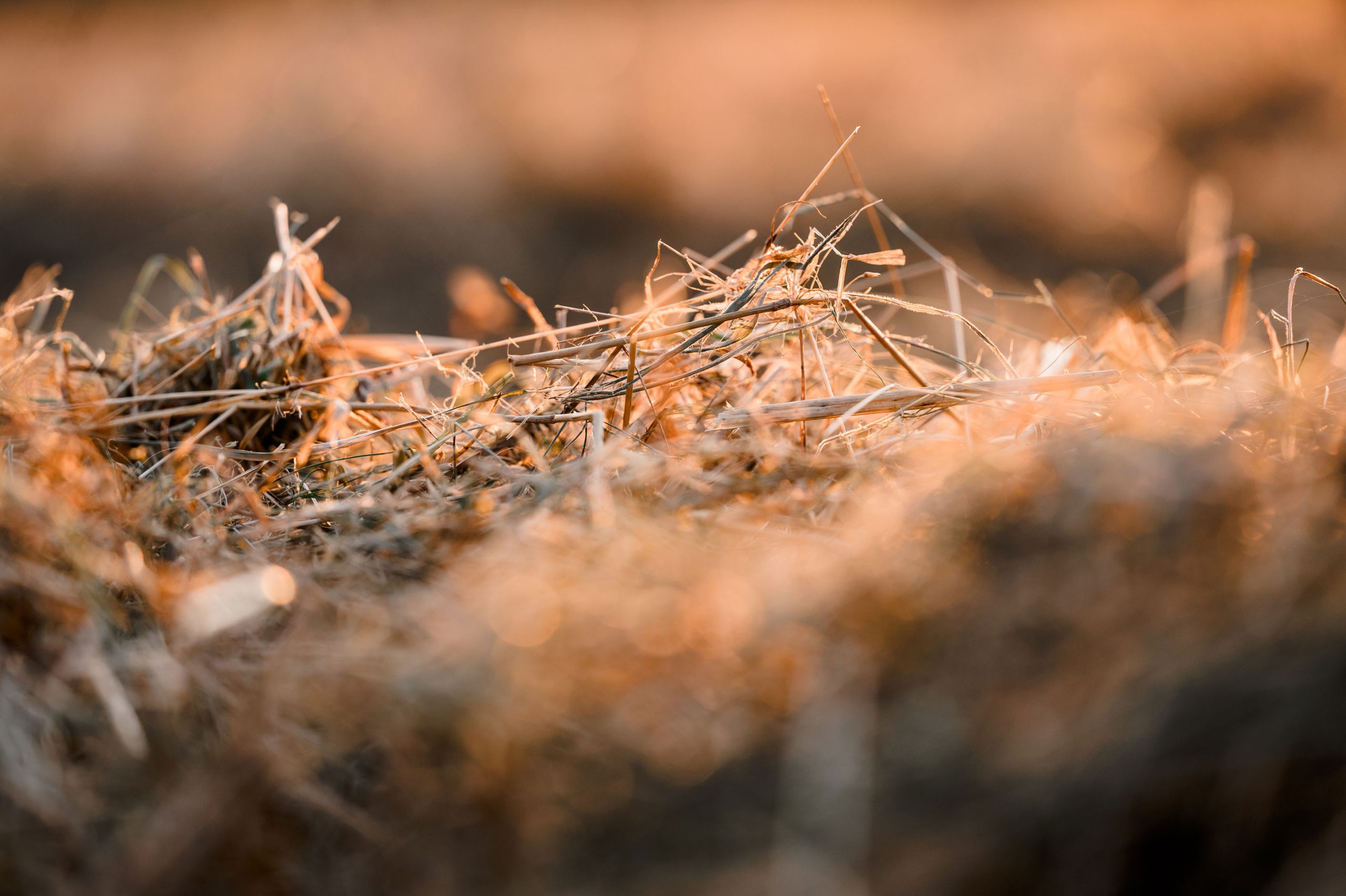 Sonnenuntergang Urlaub