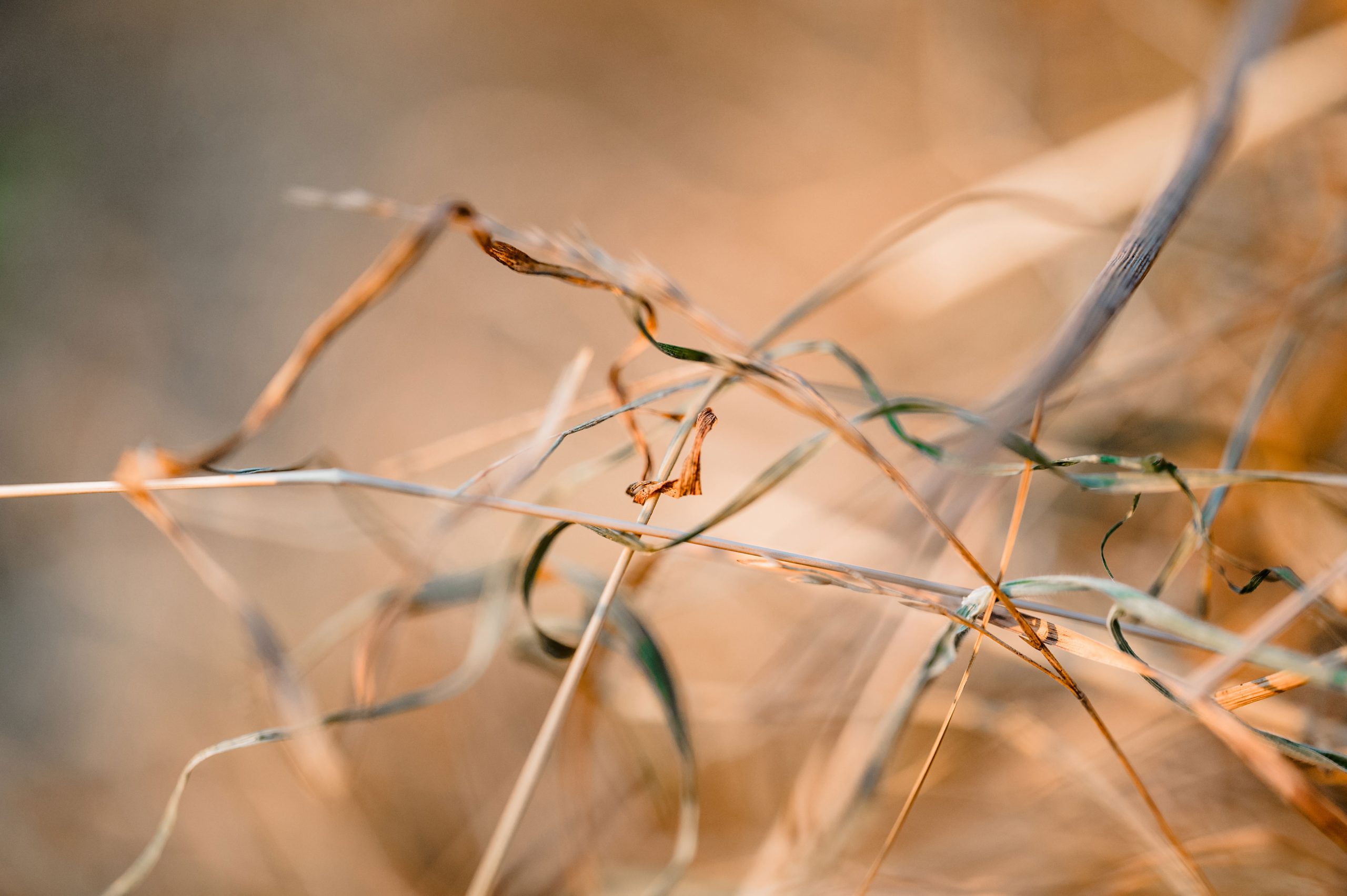 Sonnenuntergang Urlaub