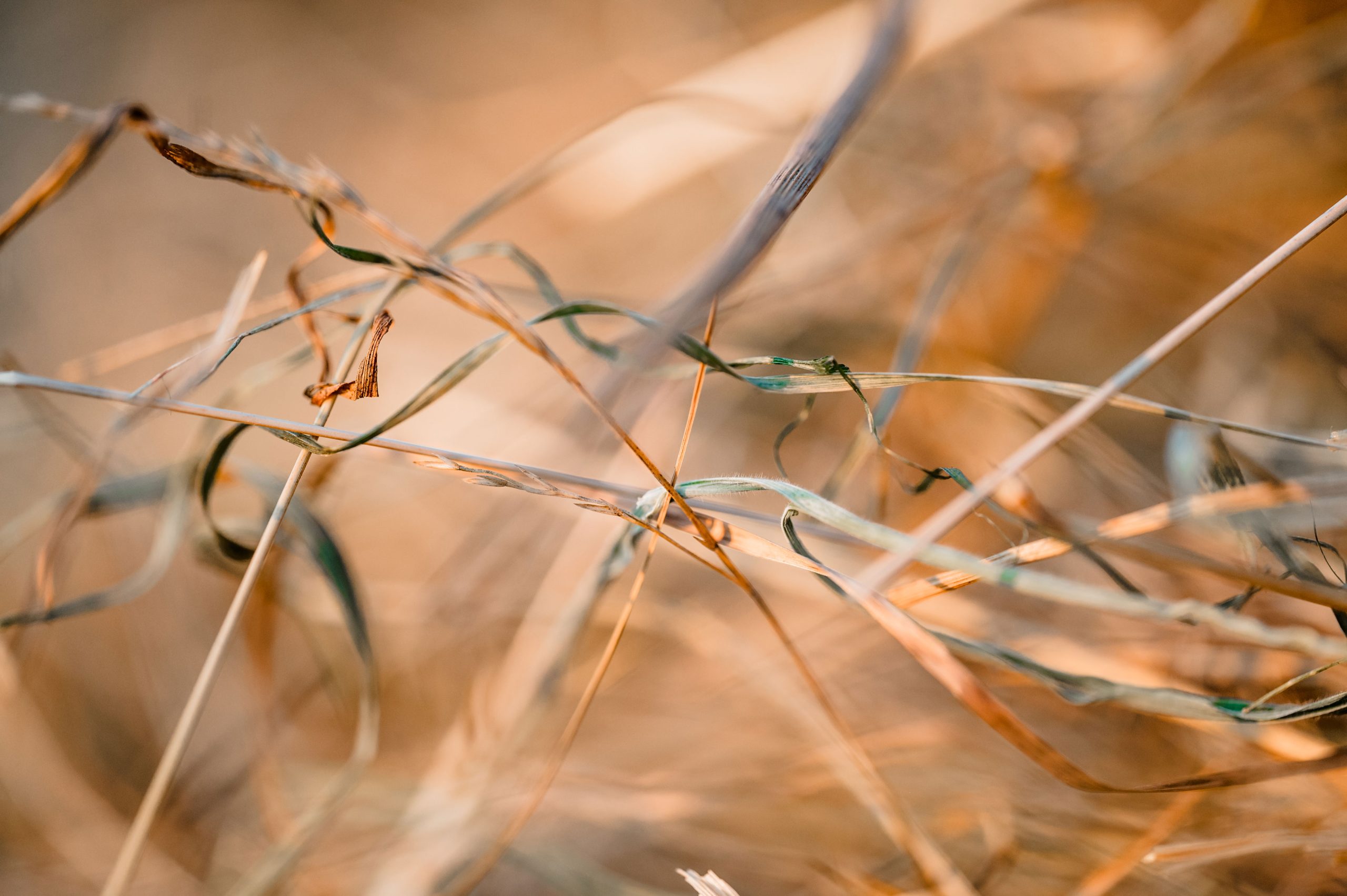 Sonnenuntergang Urlaub