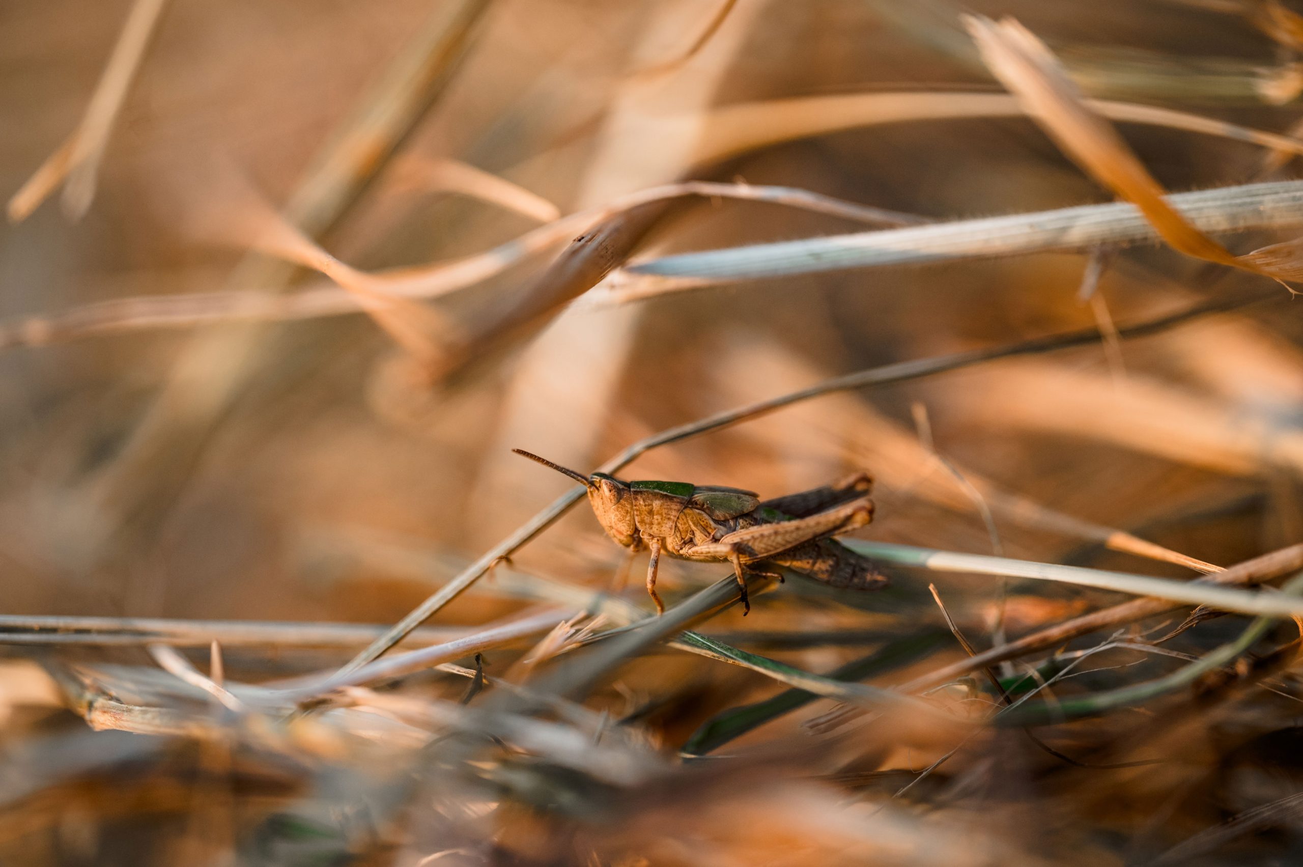 Sonnenuntergang Urlaub