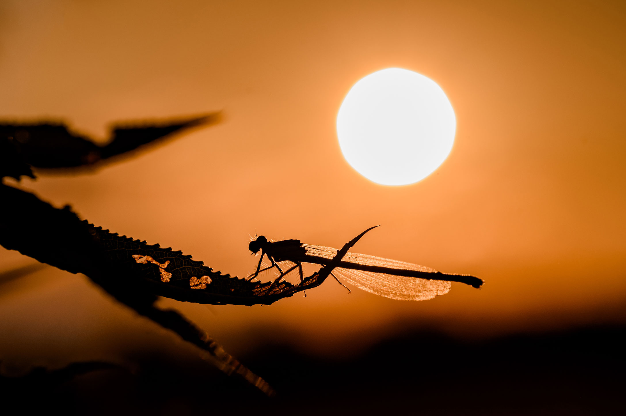 Sonnenuntergang Urlaub