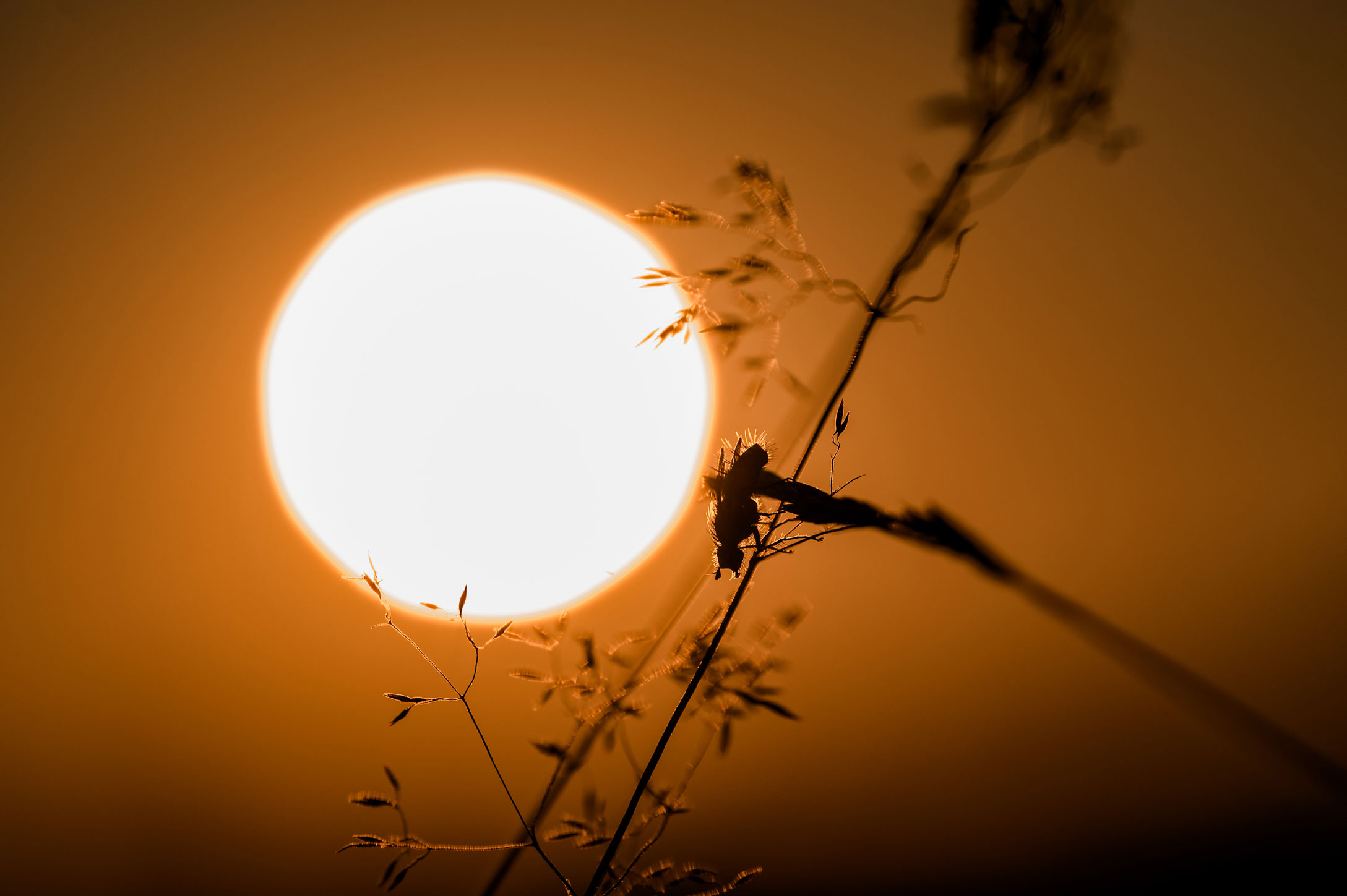 Sonnenuntergang Urlaub