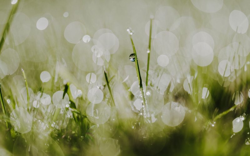 Oktoberheimat (16) Oktoberheimat