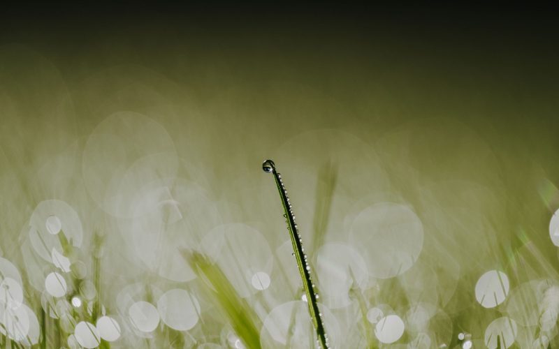 Oktoberheimat (8) Oktoberheimat