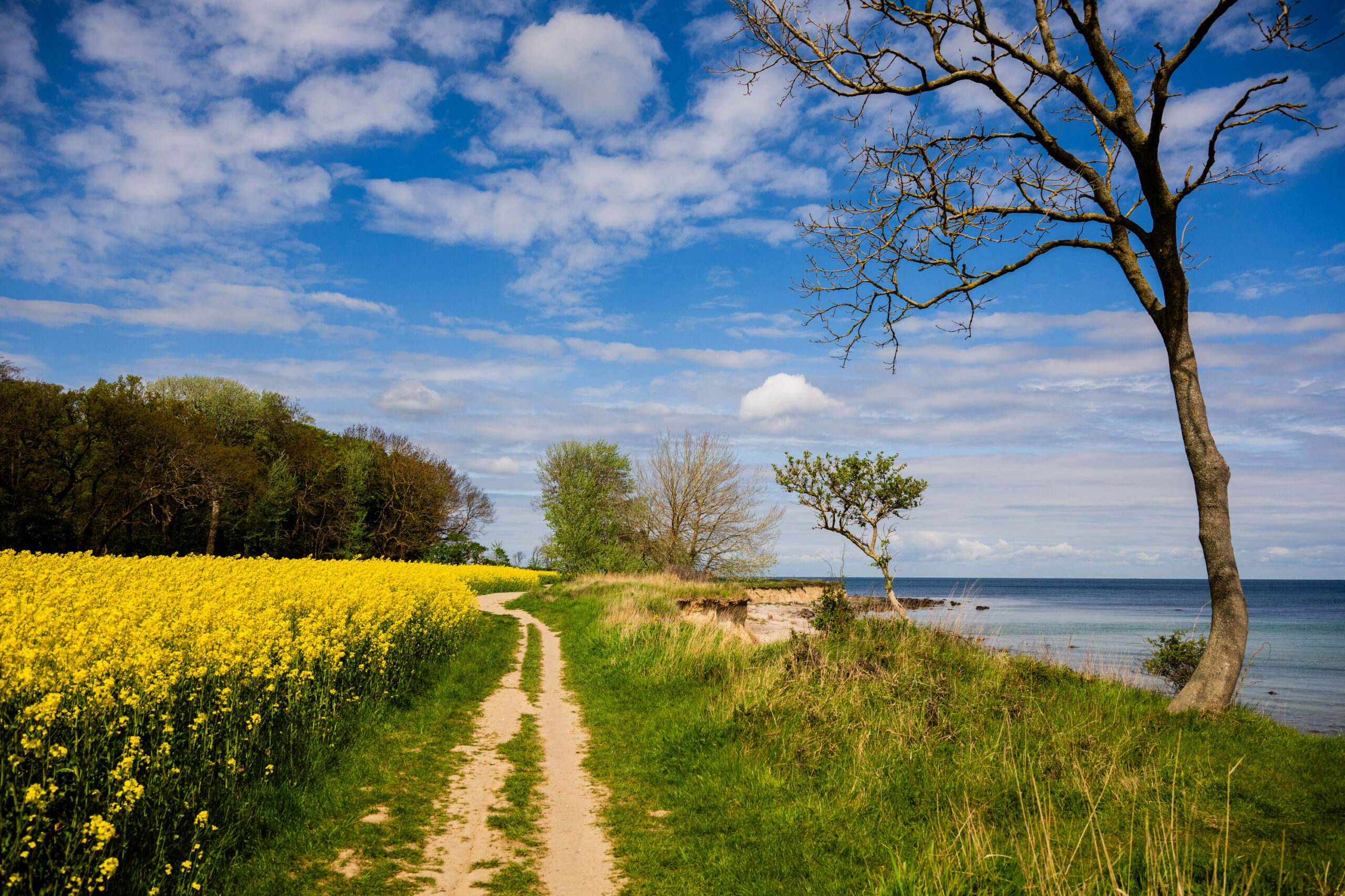 Fehmarn