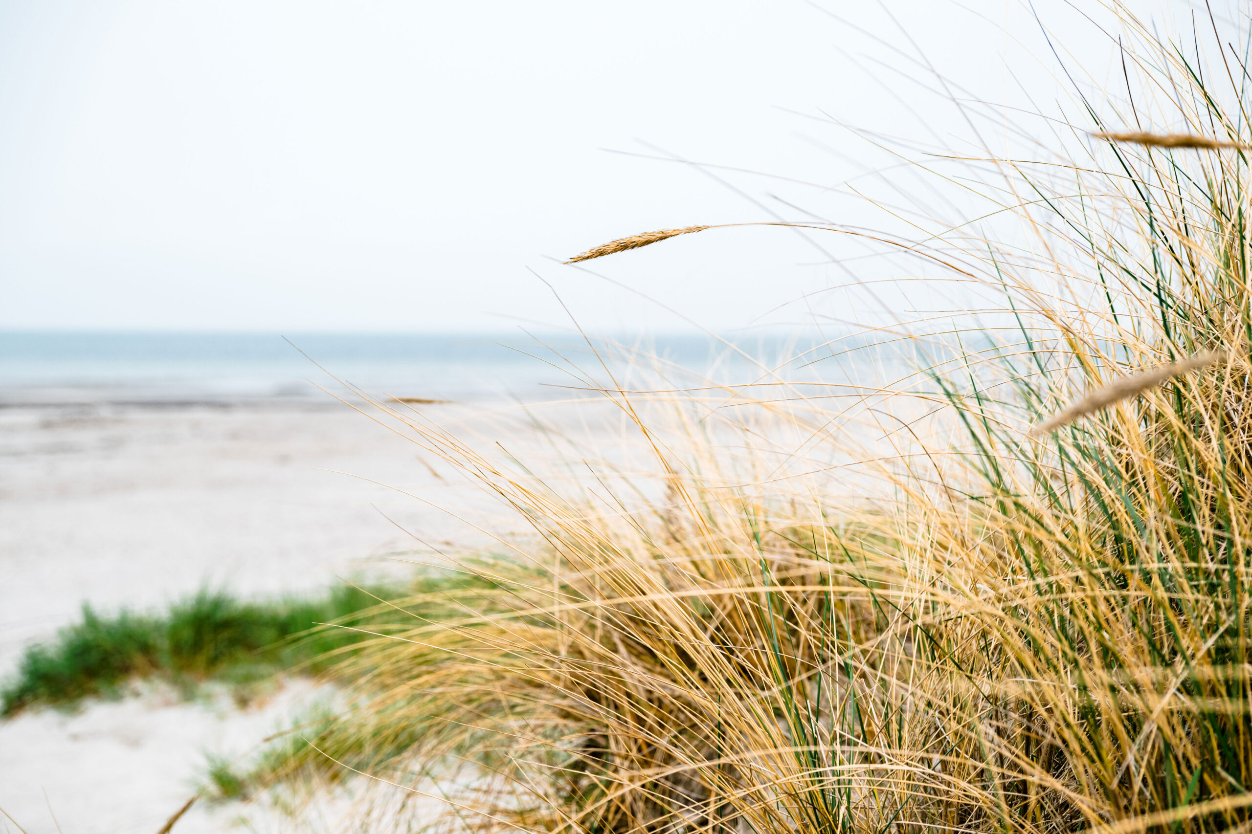 Fehmarn