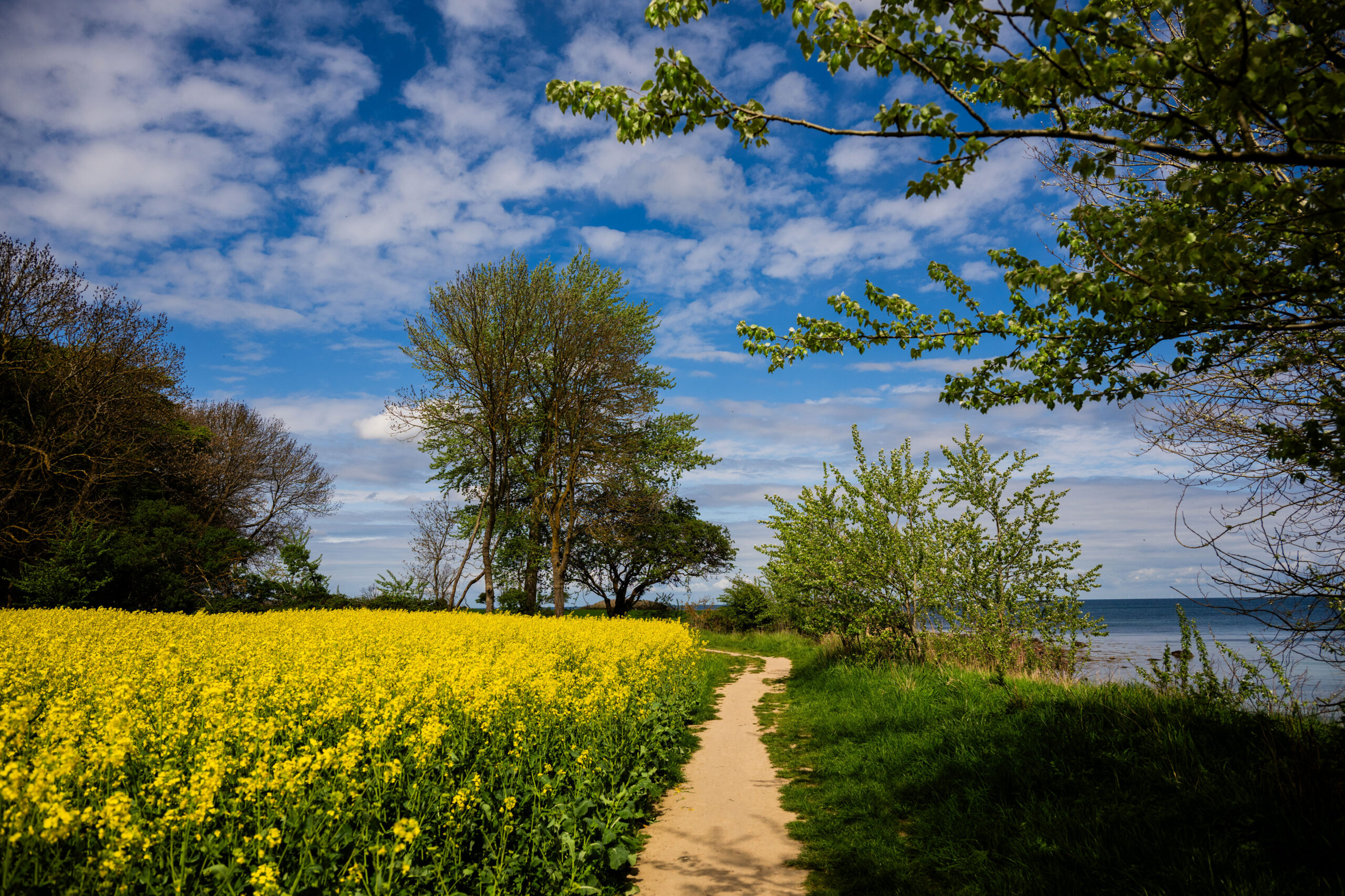 Fehmarn