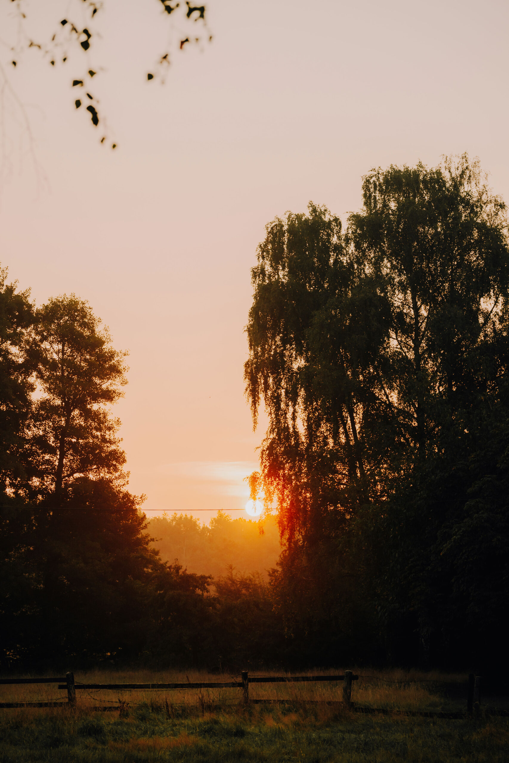 Sommeer