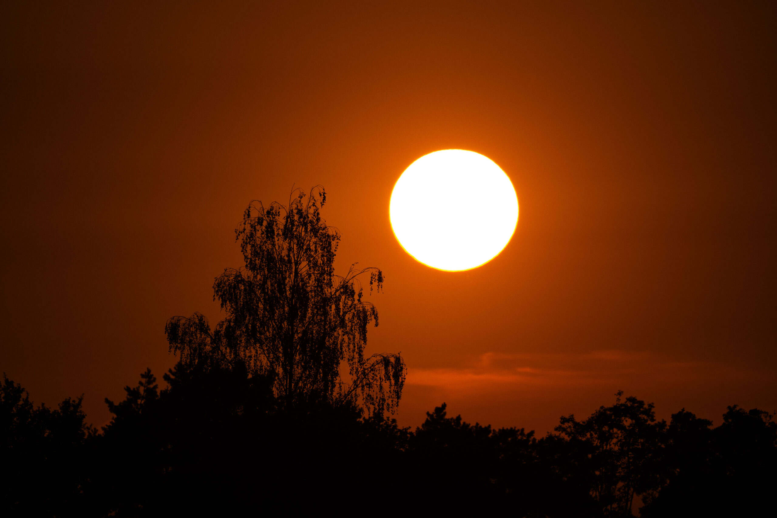 Sommeer 