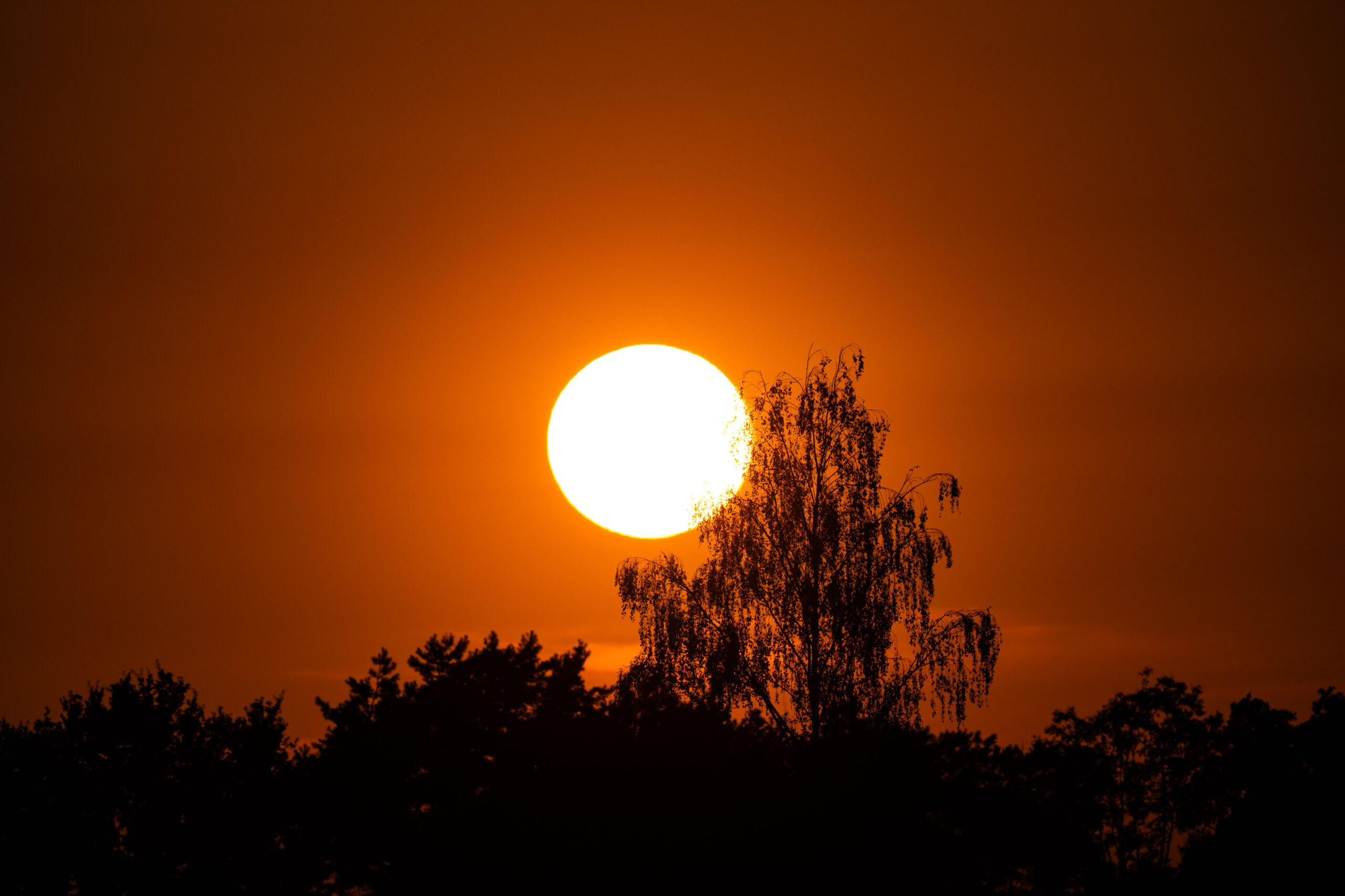 Sommeer 