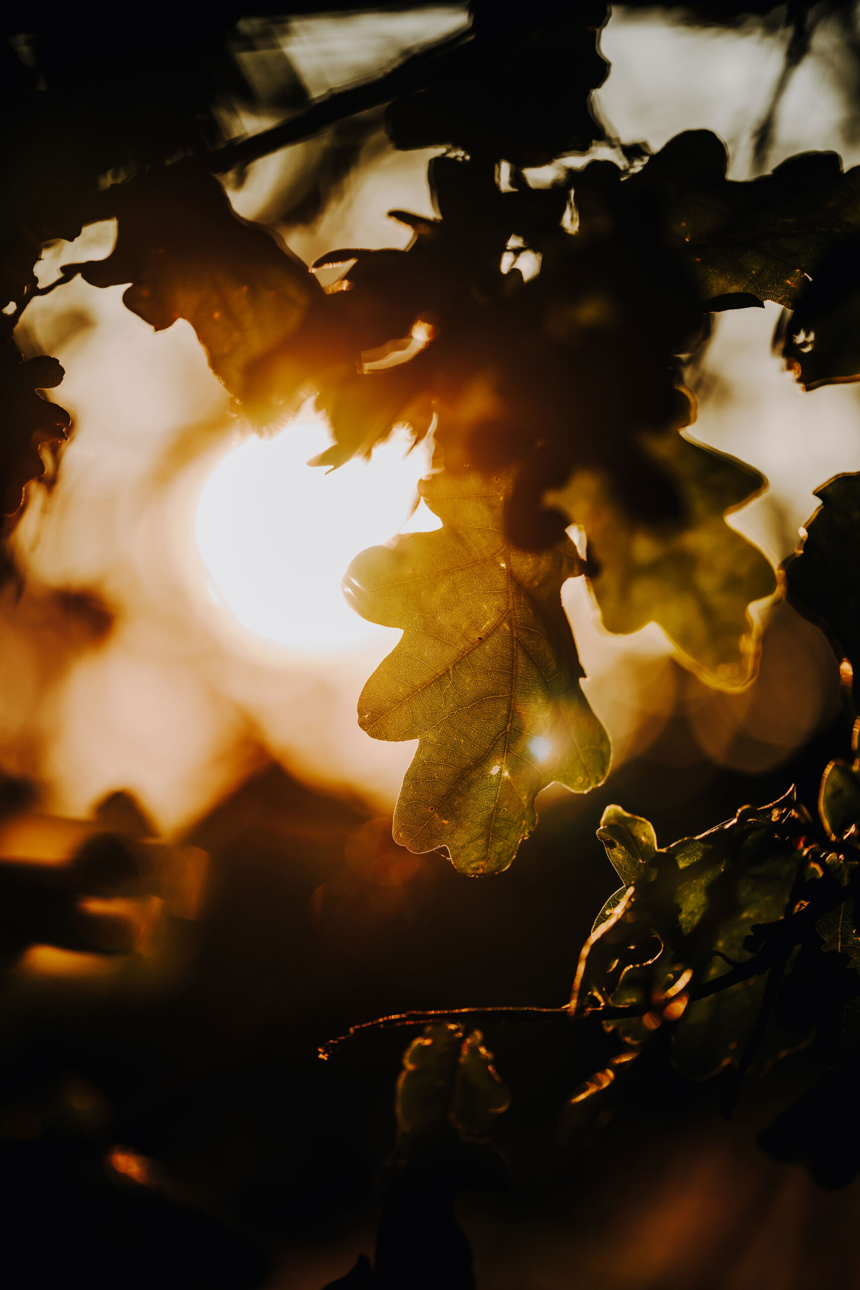 Sonnenuntergang