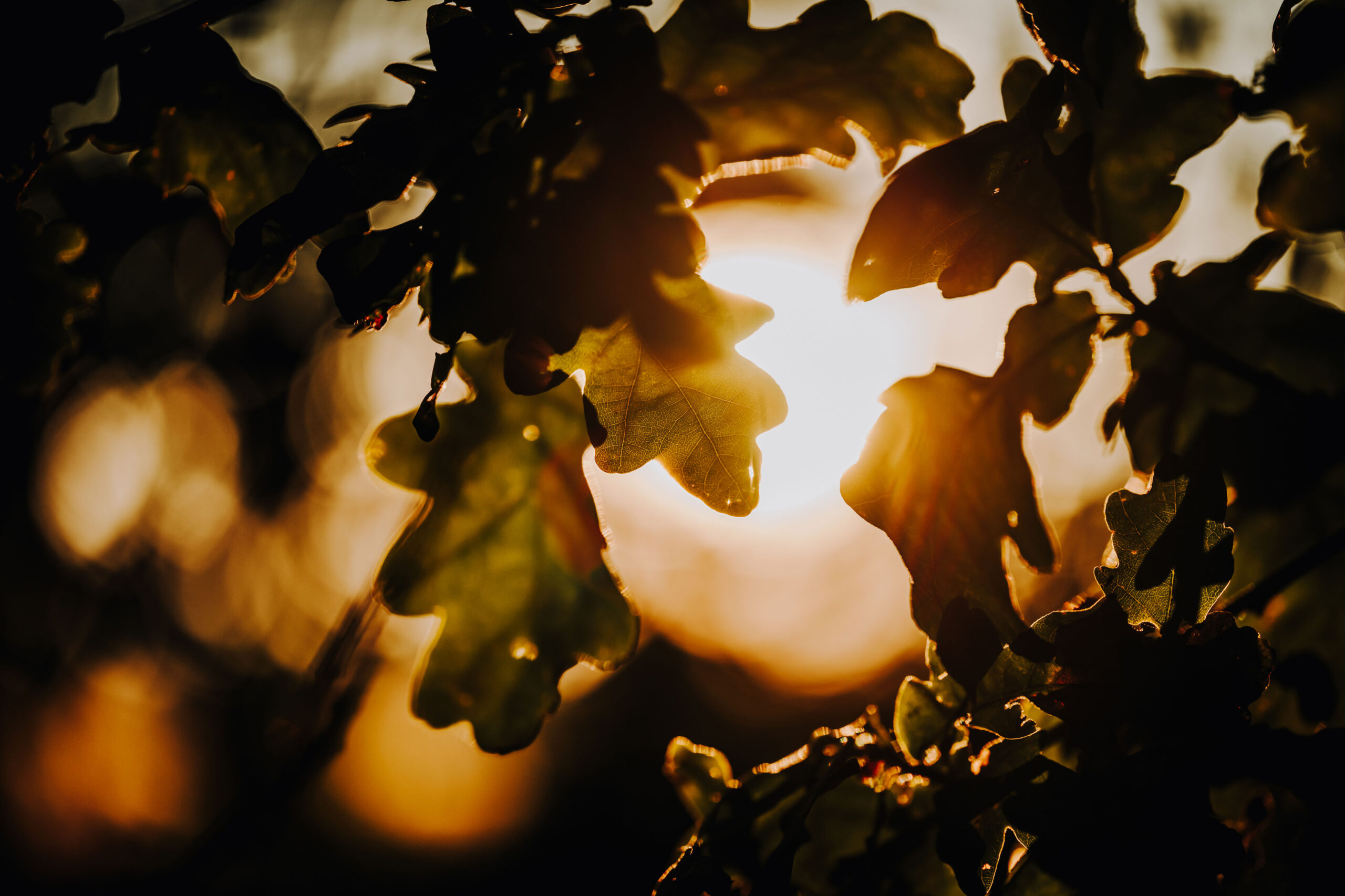Sonnenuntergang