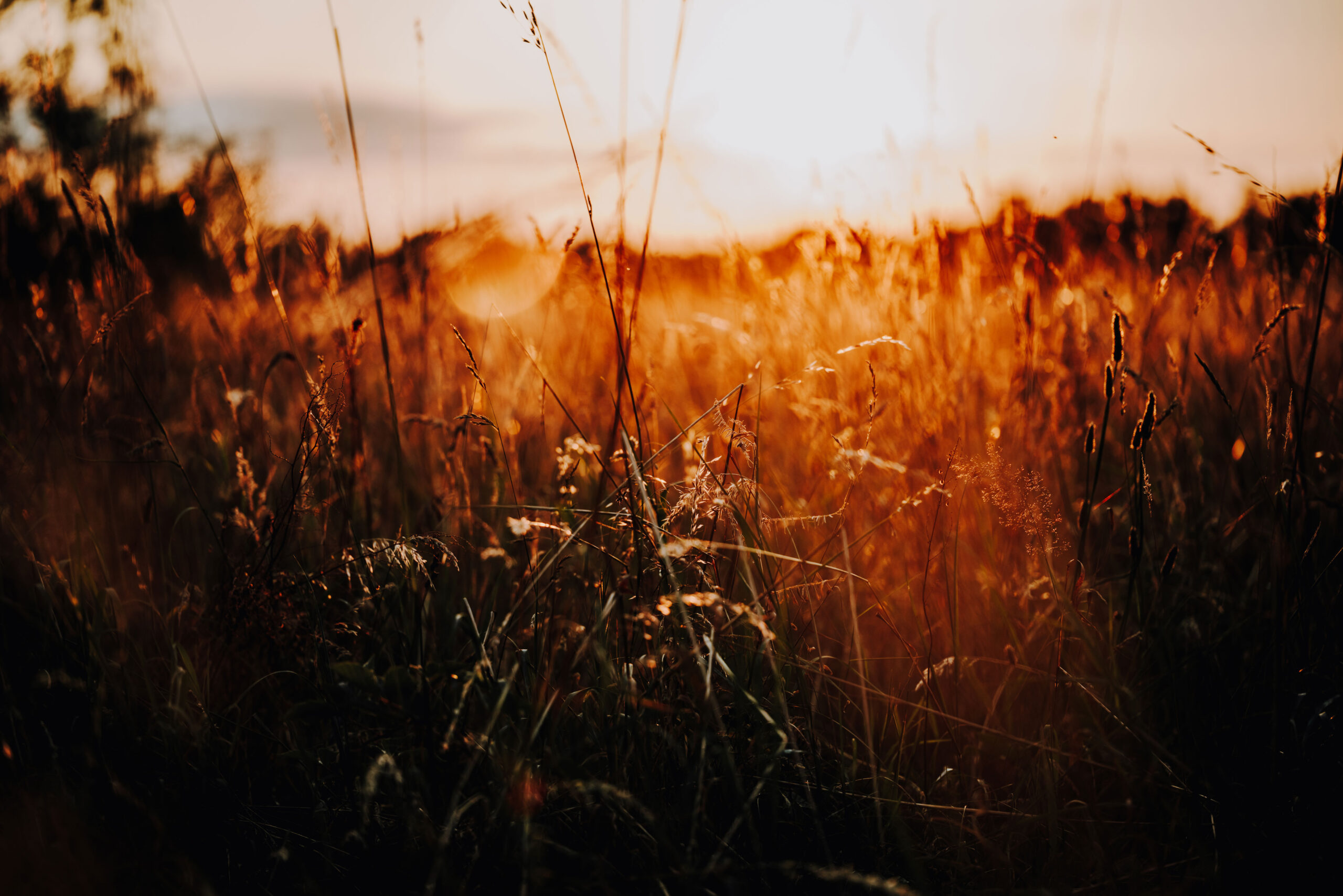 Sonnenuntergang