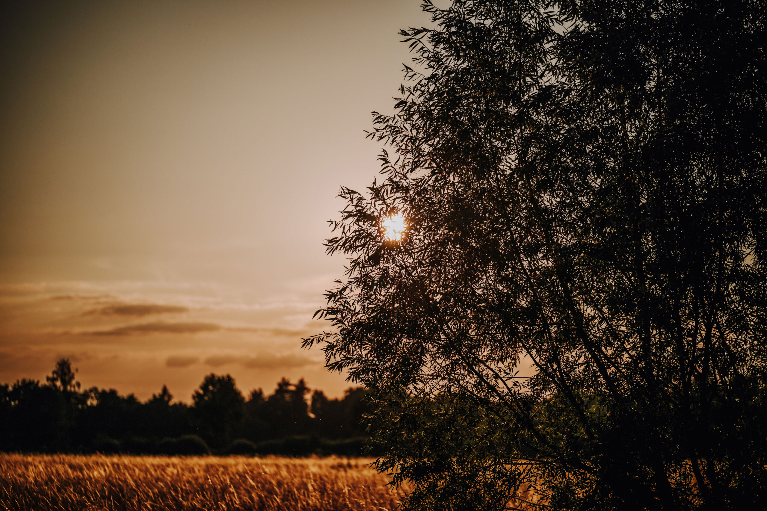Sonnenuntergang